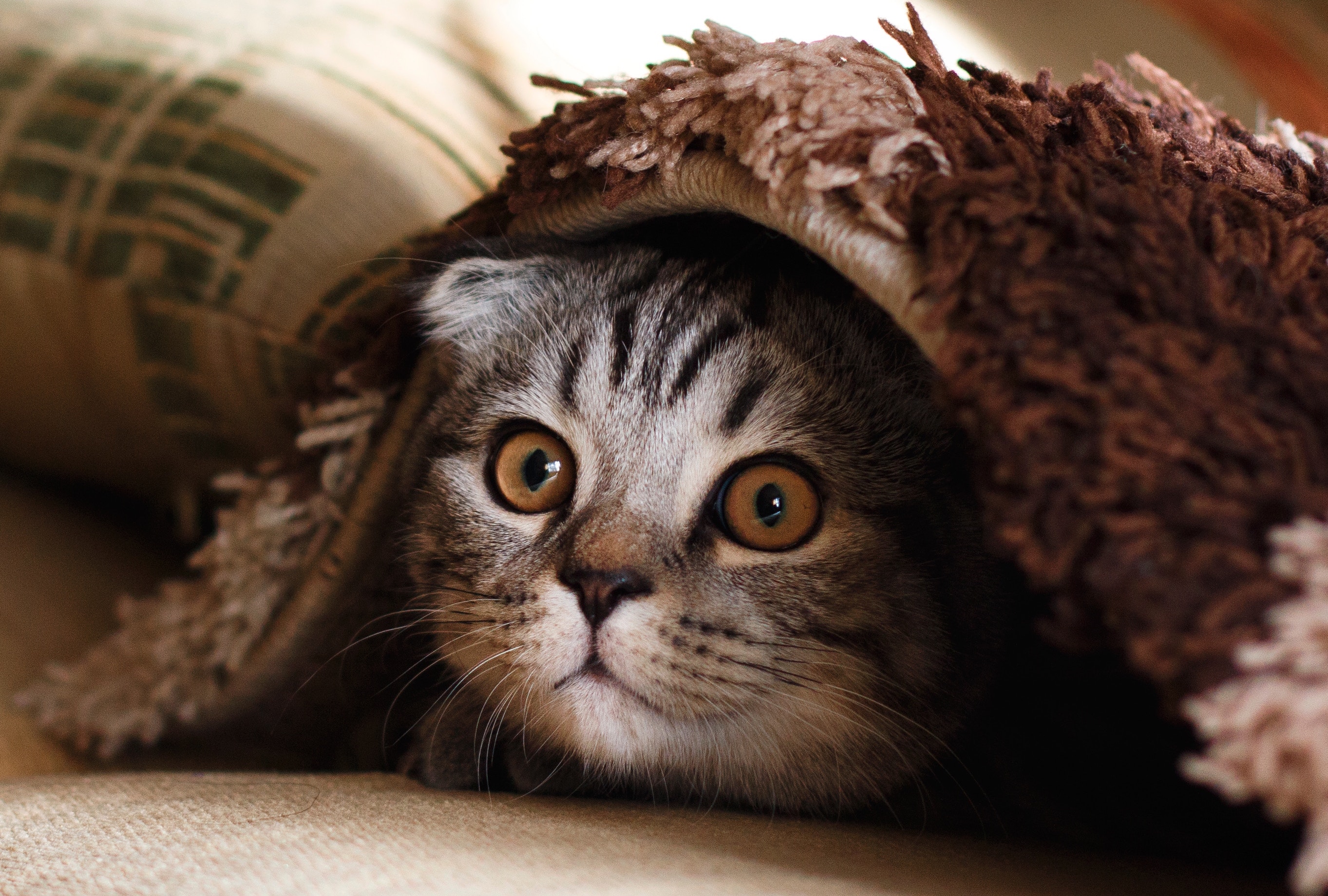 Photo by Mikhail Vasilyev on Unsplash